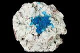 Vibrant Blue Cavansite Clusters on Stilbite - India #168255-1